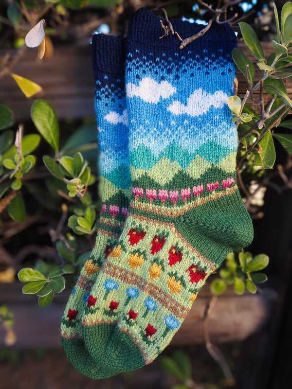Stardew Socks Collection - Knitting Pattern PDF (Digital Download Only)